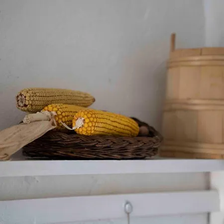 Srce Apartament Kopaonik