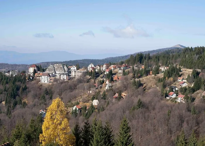 Srce Daire Kopaonik